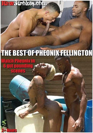 The best of Pheonix Fellington