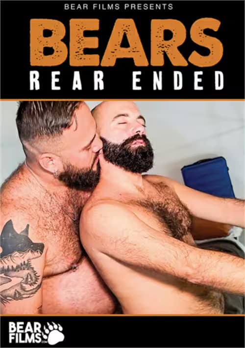Bears Rear Ended 1