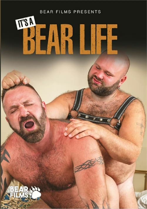 It’s a Bear Life