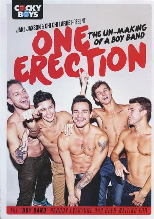 One Erection – The Un-Making Of A Boy Band