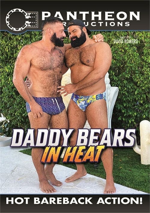 Daddy Bears in Heat