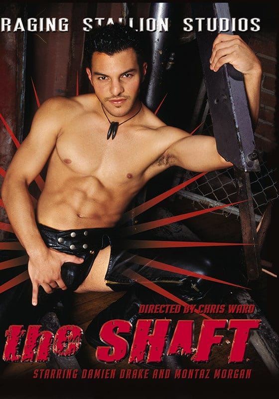 The Shaft