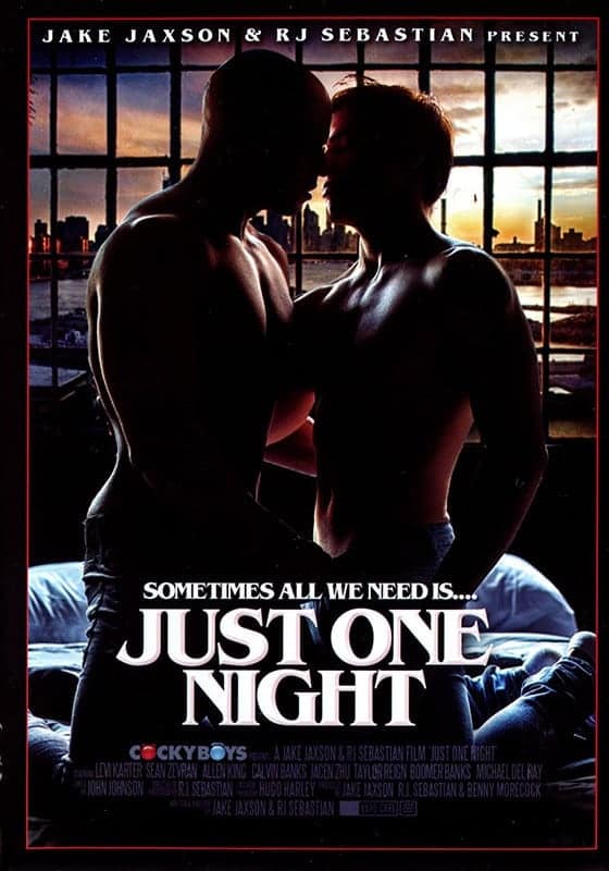 Just One Night